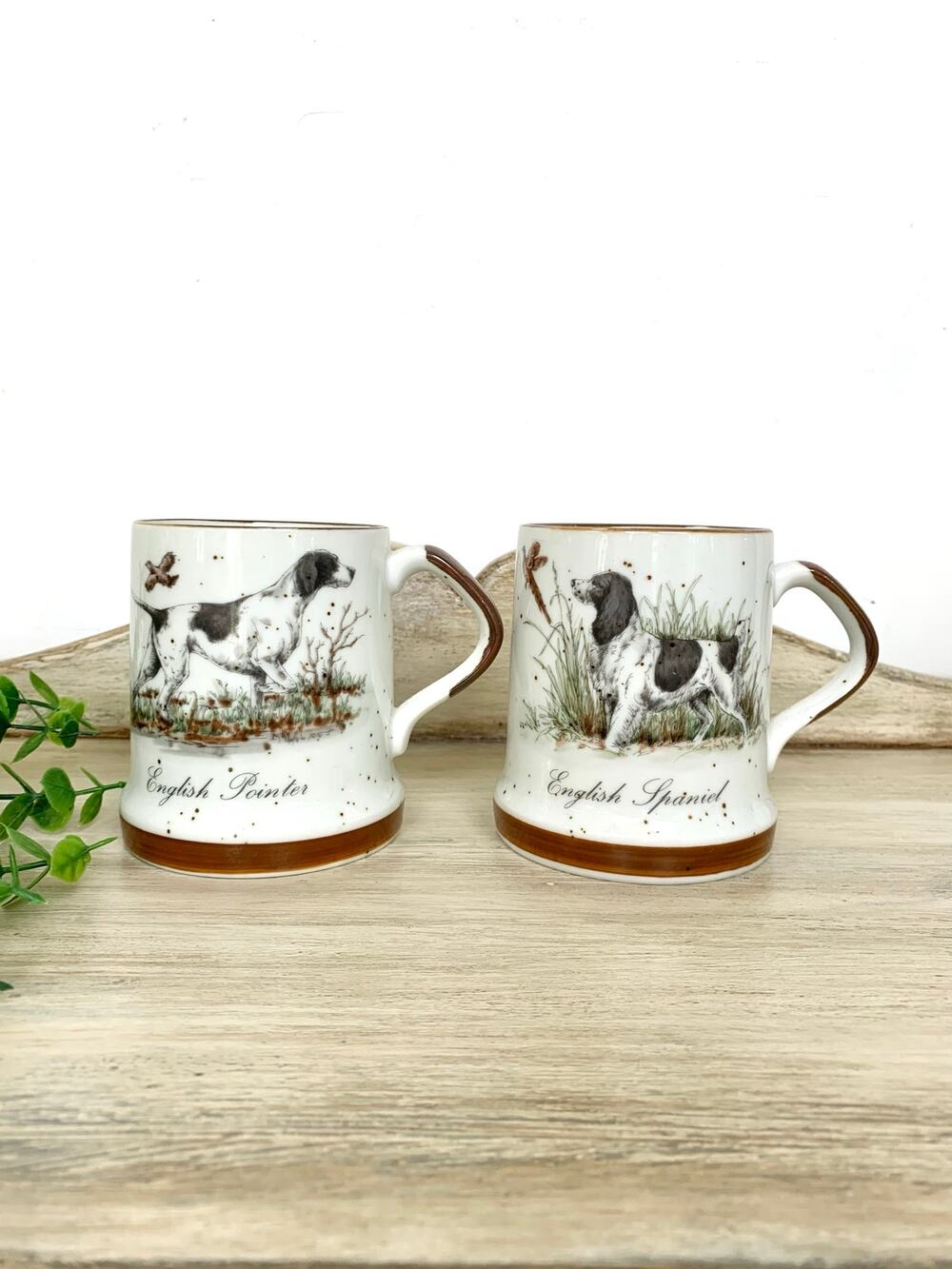 Vintage Hunting Dog Coffee Mug Set English Pointer English Spaniel Cottagecore